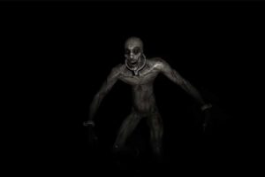 森林内的恐怖/Horror inside the forest