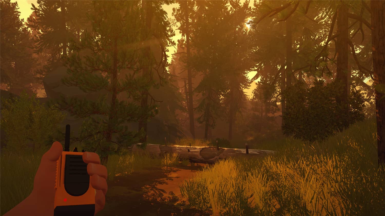 看火人/Firewatch-3 看火人/Firewatch-3