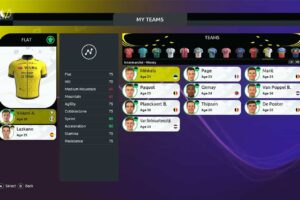 环法自行车赛2024/Tour de France 2024