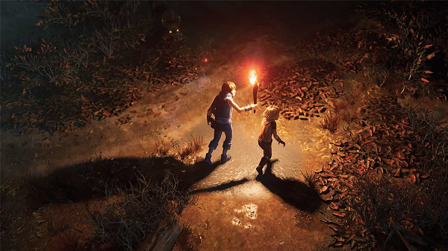 兄弟:双子传说 重制版/Brothers: A Tale of Two Sons Remake-1 兄弟:双子传说 重制版/Brothers: A Tale of Two Sons Remake-1